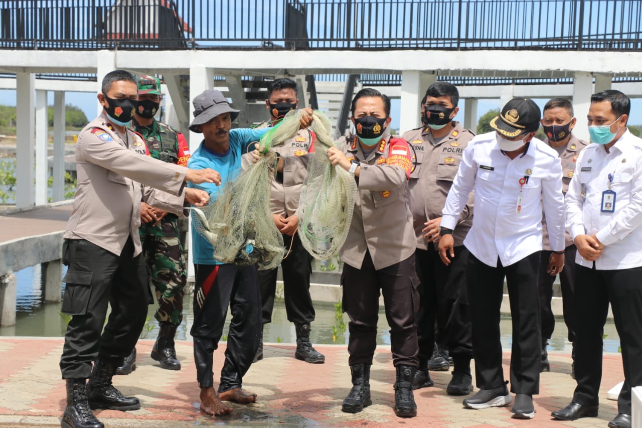 Berita Tangerang Kapolresta Tangerang Panen Ikan Bandeng Program Ketahanan Pangan