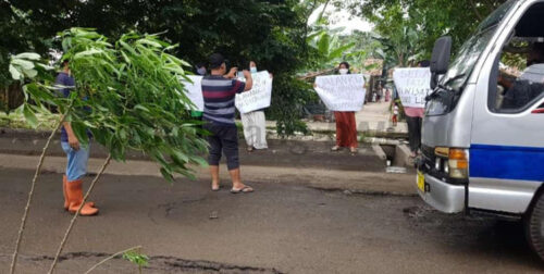 Berita Tangerang, Berita Tangerang Terbaru, Berita Tangerang Terkini, Berita Tangerang Hari Ini, Berita Kota Tangerang, Berita Kota Tangerang Terbaru, Berita Kota Tangerang Terkini, Berita Kota Tangerang Hari Ini: Tak Kunjung Diperbaiki, Warga Tanam Pisang di Jalan Marsekal Suryadharma Kota Tangerang