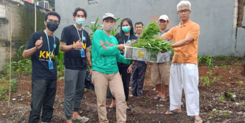 Berita Tangerang, Berita Tangerang Terbaru, Berita Tangerang Terkini, Berita Tangerang Hari Ini, Berita Kota Tangerang, Berita Kota Tangerang Terbaru, Berita Kota Tangerang Terkini, Berita Kota Tangerang Hari Ini: KKN di Cipadu Raya Larangan, Mahasiswa UBL Pelopori Pertanian Hidroponik