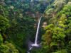 Destinasi Wisata Indonesia, Air Terjun di Indonesia, Air Terjun Benang Kelambu Lombok, Air Terjun Nglirip Tuban, Air Terjun Banyumala Bali, Air Terjun Madakaripura Probolinggo, Air Terjun Coban Pelangi Malang, Destinasi Wisata Malang, Destinasi Wisata Bali, Destinasi Wisata Lombok, Destinasi Wisata di Tuban, Destinasi Wisata di Probolinggo, Traveling Indonesia, Traveling Malang, Traveling Tubang, Traveling Probolinggo, Traveling Bali, Traveling Lombok: 5 Rekomendasi Air Terjun Instagramable di Indonesia