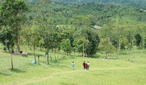 Agro Bukit Waruwangi, Destinasi Wisata Padarincang, Destinasi Wisata Cinangka, Destinasi Wisata Kabupaten Serang, Destinasi Wisata Banten: Agro Bukit Waruwangi, Objek Wisata Hits di Kabupaten Serang