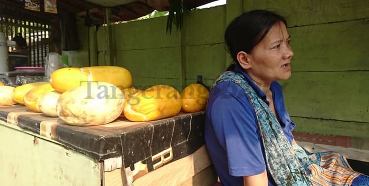 Berita Tangerang, Berita Tangerang Terbaru, Berita Tangerang Terkini, Berita Tangerang Hari Ini, Berita Kota Tangerang, Berita Kota Tangerang Terbaru, Berita Kota Tangerang Terkini, Berita Kota Tangerang Hari Ini, Timun Suri, Jual Timun Suri, Jual Timun Suri untuk Biaya Sekolah, Jual Timun Suri Kota Tangerang, Penjual Timun Suri, Berjualan Timun Suri: Menah Berjualan Timun Suri Demi Biaya Sekolah Anak