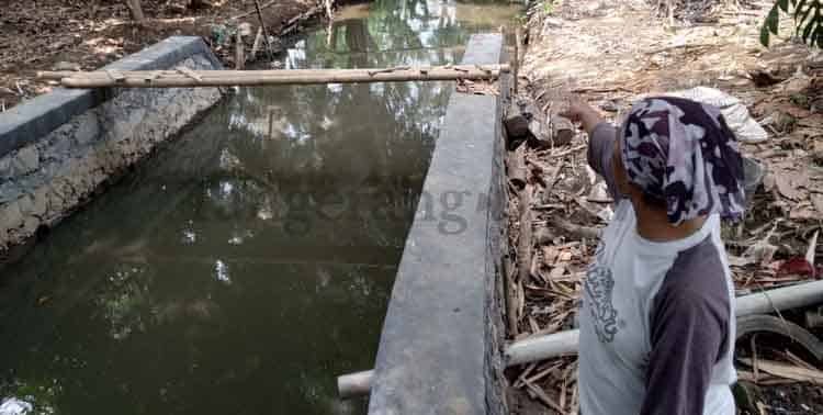 Warga di Desa Sumur Bandung dan Gembong mengaku air sumur mereka mulai berubah warna dan rasa sejak Pabrik PT Mayora Indah Tbk Jayanti beroperasi sekitar 2017 lalu.