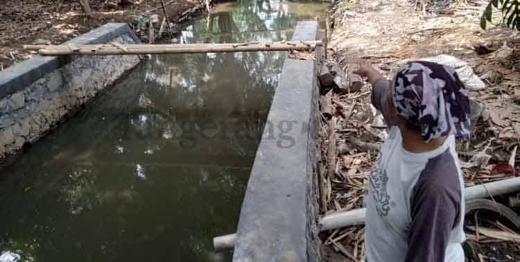 Kepala Desa Gembong, Nurjen menyatakan warga desanya tak pernah mendapatkan kompensasi apapun selama PT Mayora Indah Jayanti beroperasi.