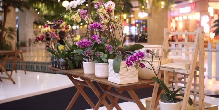 Sebanyak 40 tenant produk kreatif lokal meramaikan Creative Culture Home (C2H) di Summarecon Mall Serpong. Pameran diinisiasi menampilkan