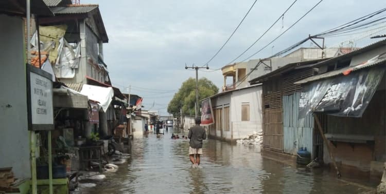 Sebanyak 2.739 warga kelurahan Dadap, kecamatan Kosambi memilih bertahan di tengah kepungan banjir rob dari pada mengungsi.