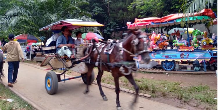 Untuk menghirup udara yang bersih, melihat pemandangan hijau dan asri serta suara gemericik air sungai, kini tak perlu untuk pergi jauh-jauh.