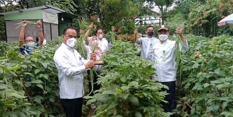 Pegawai Dinas Lingkungan Hidup (DLH) Kota Tangerang membagikan hasil panen sayur kacang panjang, dari lokasi Wisata Edukasi DLH