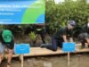 Sebanyak 10 ribu Mangrove ditanam di Desa Ketapang, Kecamatan Mauk, Kabupaten Tangerang, Minggu, 28 November 2021.