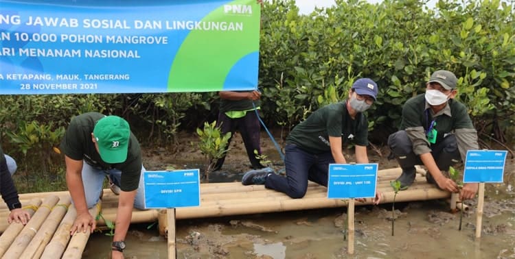 Sebanyak 10 ribu Mangrove ditanam di Desa Ketapang, Kecamatan Mauk, Kabupaten Tangerang, Minggu, 28 November 2021.