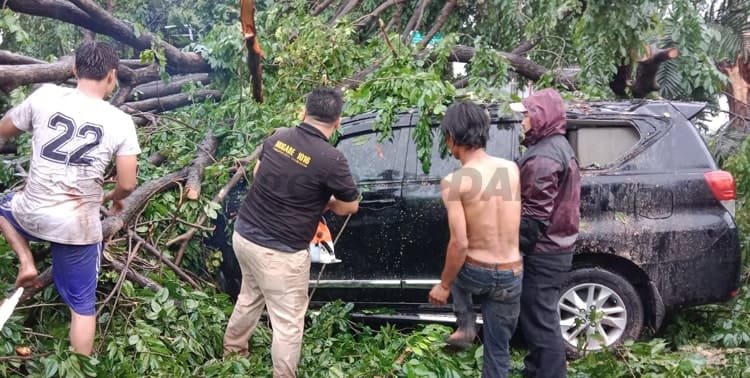 Badan Penanggulangan Bencana Daerah (BPBD) Kota Tangerang mencatat sedikitnya 15 lokasi pohon tumbang karena hujan disertai angin kencang