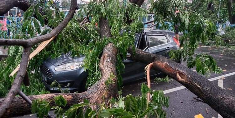 Peristiwa hujan disertai angin kencang terjadi di Kota Tangerang, Kamis siang 23 Desember 2021.