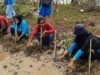 Berbagai komunitas pecinta alam di Kabupaten Tangerang menanam pohon mangrove di pantai Pulo Cangkir, Kecamatan Kronjo, Kabupaten Tangerang