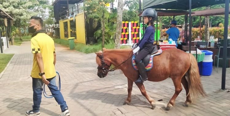 Berakhir pekan bersama keluarga memang menyenangkan mencoba hal-hal baru, seperti rekreasi di alam terbuka dengan menunggangi kuda poni.