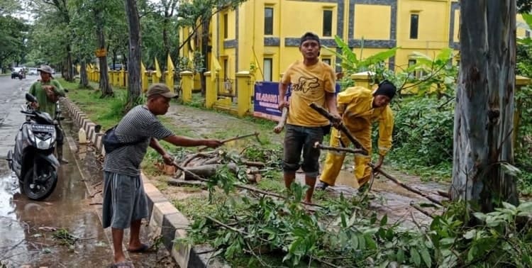 Dinas Lingkungan Hidup Kabupaten Tangerang kewalahan memenuhi permintaan penebangan pohon rawan tumbang pada cuaca ekstrim yang terjadi saat ini. "Setiap hari tim penebang pohon melakukan pemotongan sesuai permintaan dan sampai saat ini masih antri," ujar Kepala Dinas Lingkungan Hidup dan Kebersihan Kabupaten Tangerang, Ahmad Taufik, Kamis 10 Maret 2022.