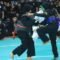 Sebanyak 43 Perguruan Pencak Silat mengikuti turnamen Silat Benteng Cisadane Champions Open. Kegiatan yang dihelat Ikatan Pencak Silat Indonesia (IPSI) Kota Tangerang itu berlangsung di Metropolis Town Square Tangerang.