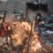 Sebuah kios makanan ringan ludes terbakar dalam kebakaran yang terjadi di Pasar Kronjo Kabupaten Tangerang, Rabu pagi ini 30 Maret 2022, pukul 04.30 WIB.