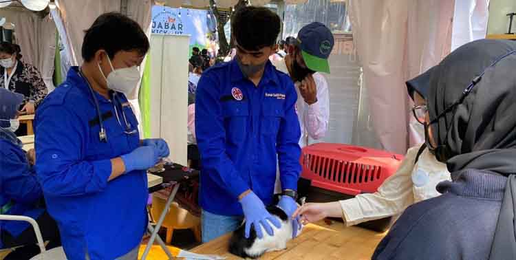 Royal Canin Indonesia dan Zoetis Indonesia Mendukung Program “Rabies: One Health, Zero Death” dengan Donasi 10.000 Dosis Vaksin Rabies dan Webinar Edukasi. (Foto : Ist)