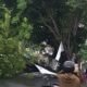 Hujan deras disertai angin kencang mengakibatkan sejumlah pohon tumbang di wilayah Kota Tangerang Selatan (Tangsel)