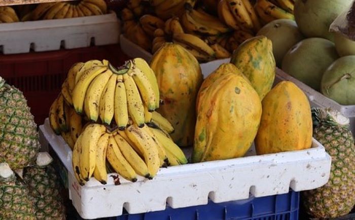 ASI vs MPASI Pisang, Mana yang Lebih Baik untuk Perkembangan Otak Bayi