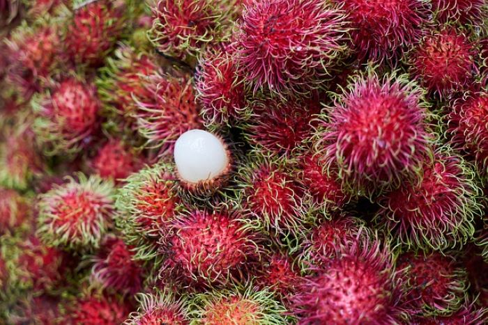 Rambutan, Buah Primadona Kaya Nutrisi