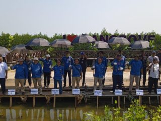 Mayora Group menunjukkan komitmen terhadap lingkungan dengan menanam 7.500 pohon mangrove di pesisir Desa Ketapang, Tangerang. Inisiatif ini bertujuan melindungi ekosistem pantai dan mencegah abrasi laut, serta memberikan manfaat bagi masyarakat sekitar. Dukungan dari pemerintah daerah menguatkan upaya Mayora dalam menjaga kelestarian alam.