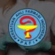 Persatuan Ahli Farmasi Indonesia (Pafi) Solo berkomitmen untuk meningkatkan kualitas layanan farmasi di wilayah Solo dan sekitarnya melalui berbagai program inovatif.