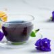 Teh bunga telang, atau butterfly pea tea, semakin populer di kalangan penggemar minuman herbal di seluruh dunia. Selain tampilannya yang menawan, teh ini kaya akan manfaat kesehatan, termasuk menjaga kesehatan mata, meningkatkan fungsi otak, mengatasi stres, serta mendukung kesehatan kulit dan rambut. Temukan 5 manfaat luar biasa dari mengonsumsi teh bunga telang dan rasakan keuntungannya dalam kehidupan sehari-hari Anda