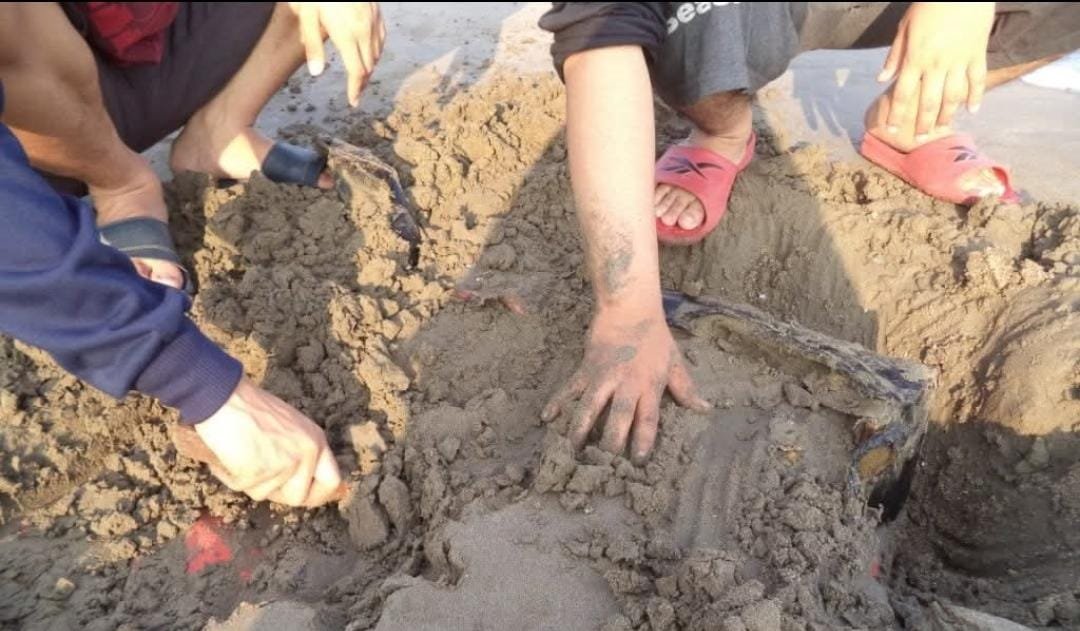 Ekspor pasir laut: Sebuah dilema antara keuntungan ekonomi jangka pendek dan kerusakan lingkungan yang tak terhindarkan. Bisakah kita menyeimbangkan pembangunan dengan pelestarian alam? Temukan jawabannya di sini.