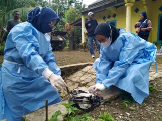 Ratusan Unggas di Pandeglang Mati Mendadak