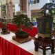 Rayakan HUT Ke-32 Kota Tangerang dengan Gebyar Bonsai! Pameran dan perlombaan bonsai menarik di Plaza Pusat Pemerintahan