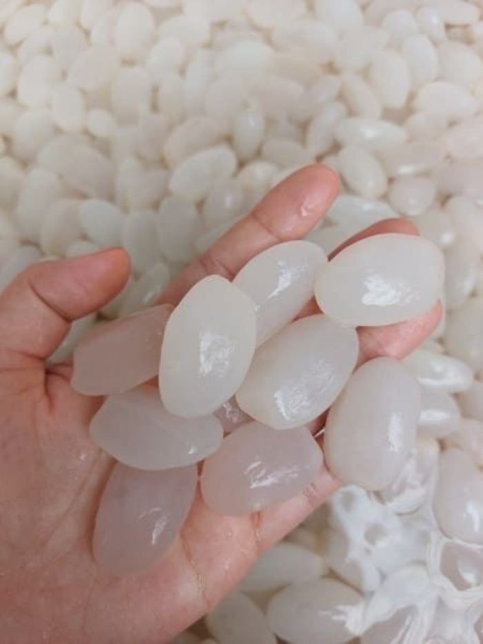 7 rahasia sehat kolang-kaling