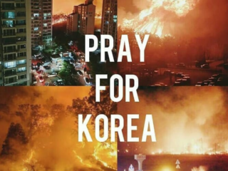 kebakaran hutan di Korea Selatan