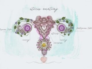 5 gangguan pada endometrium