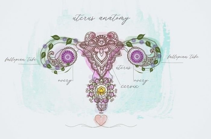 5 gangguan pada endometrium