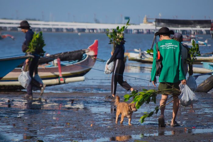 LindungiHutan Capai Target 1 Juta Pohon (Sumber: LindungiHutan)