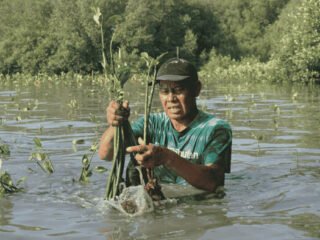 LindungiHutan Peringati Hari Keanekaragaman Hayati Internasional (Sumber: LindungiHutan)