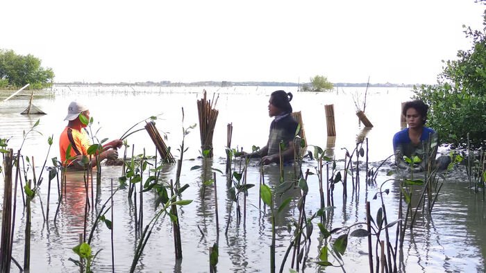 LindungiHutan soroti peran komunitas Tripari di Semarang dalam pelestarian lingkungan melalui penanaman mangrove untuk Hari Buruh.