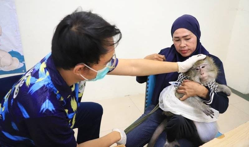 Pemerintah Kota Tangerang perkuat penanganan rabies dengan 21 Rabies Center. Akses cepat dan edukasi untuk kesehatan masyarakat.