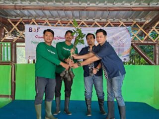 Ilustrasi Berita (Sumber: LindungiHutan)