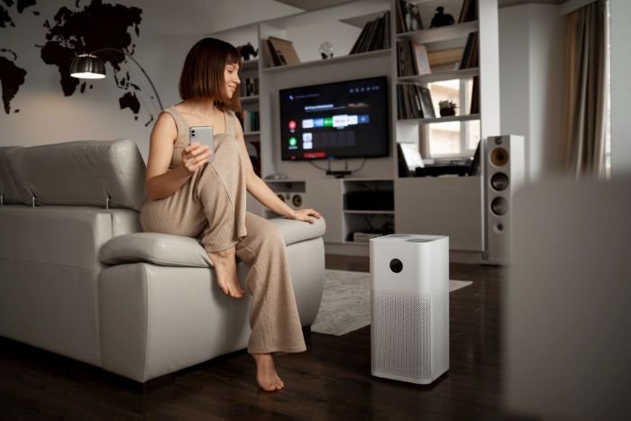 air purifier atau humidifier