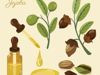 Jojoba Oil: Rahasia Alami untuk Mengatasi Kulit Kering hingga Bekas Luka