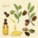 jojoba oil untuk kulit kering