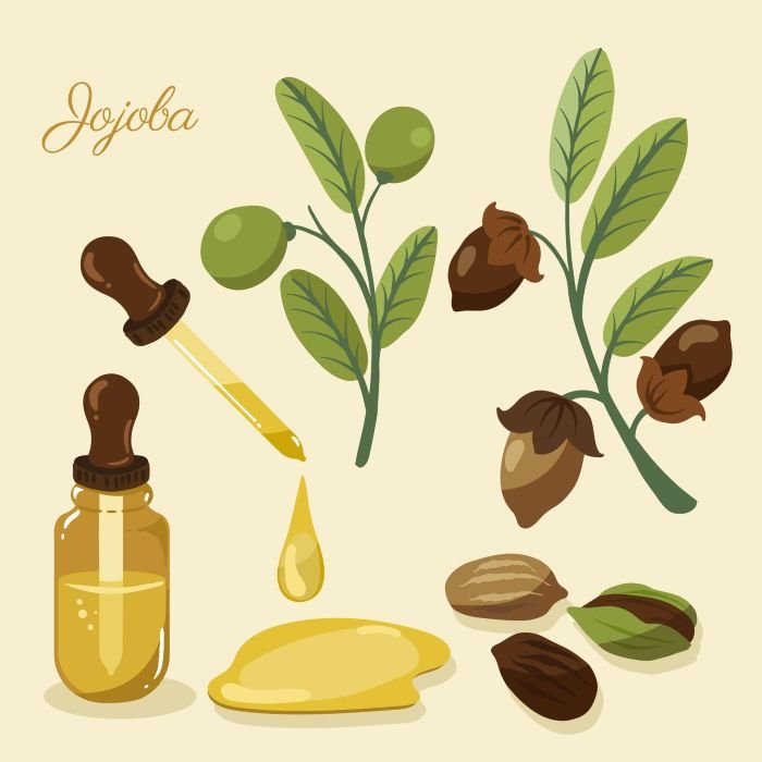 jojoba oil untuk kulit kering