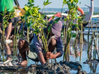 Hari Lingkungan Hidup Sedunia 2025, Kunci Pulihkan Alam (Sumber: LindungiHutan)