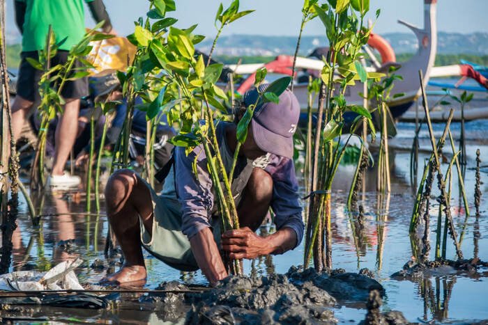 Hari Lingkungan Hidup Sedunia 2025, Kunci Pulihkan Alam (Sumber: LindungiHutan)