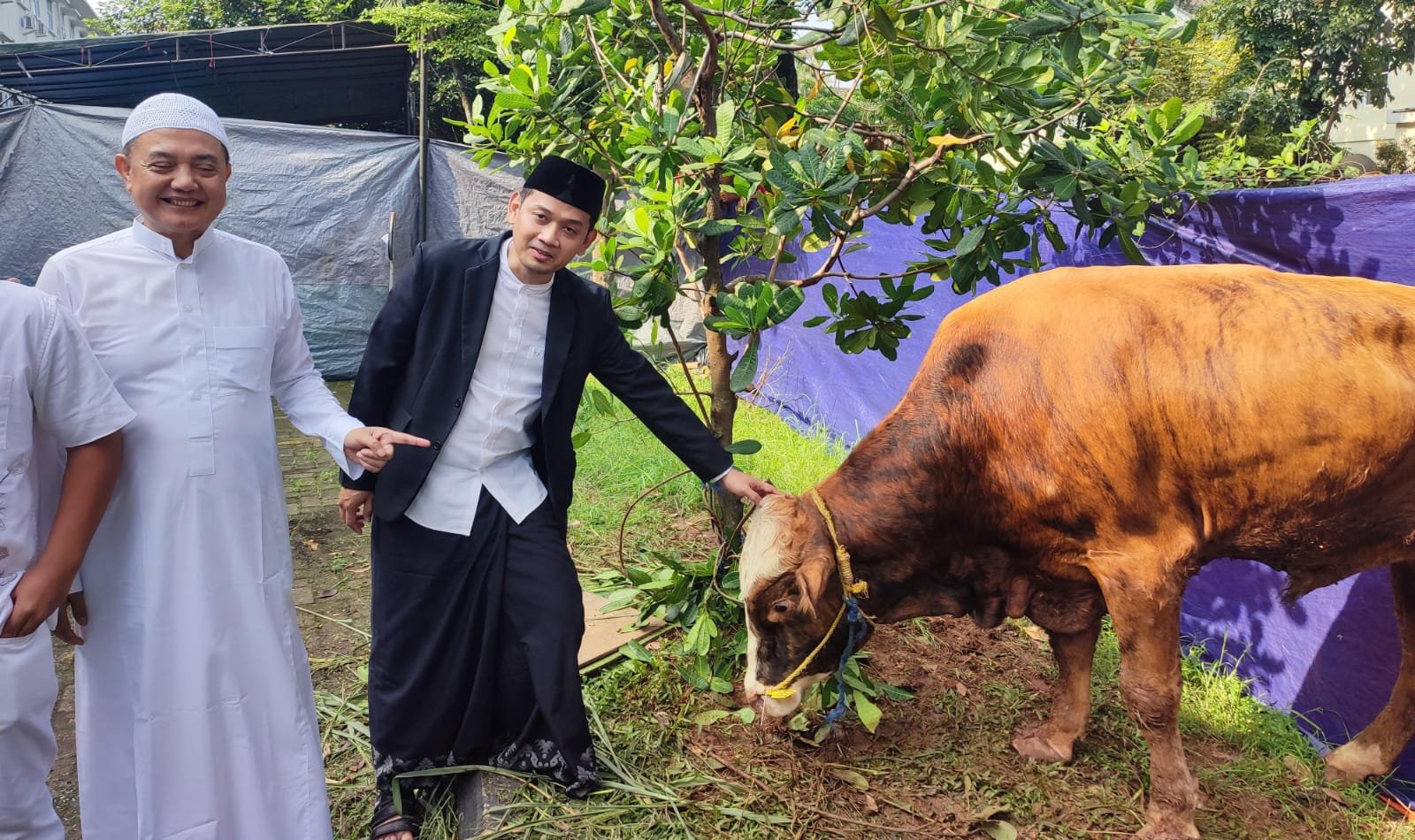 Sekolah Al-Azhar BSD salurkan ratusan hewan kurban di Iduladha 1446 H, ajarkan siswa nilai keikhlasan dan empati melalui kurban.