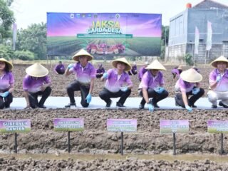 Kolaborasi 4 Kabupaten di Banten Wujudkan Swasembada Pangan lewat MoU Pola Tanam Inovatif