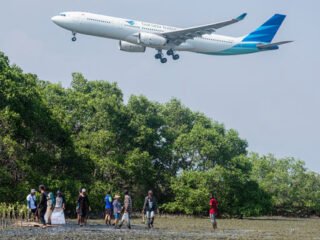 Ilustrasi Berita (Sumber: LindungiHutan)