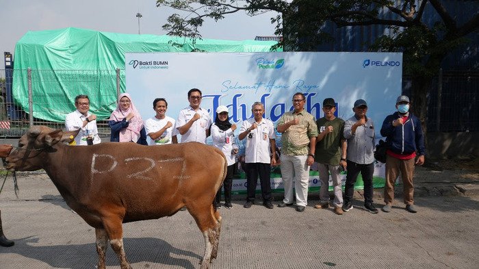 Ilustrasi Berita (Sumber: PT Pelindo Solusi Logistik)